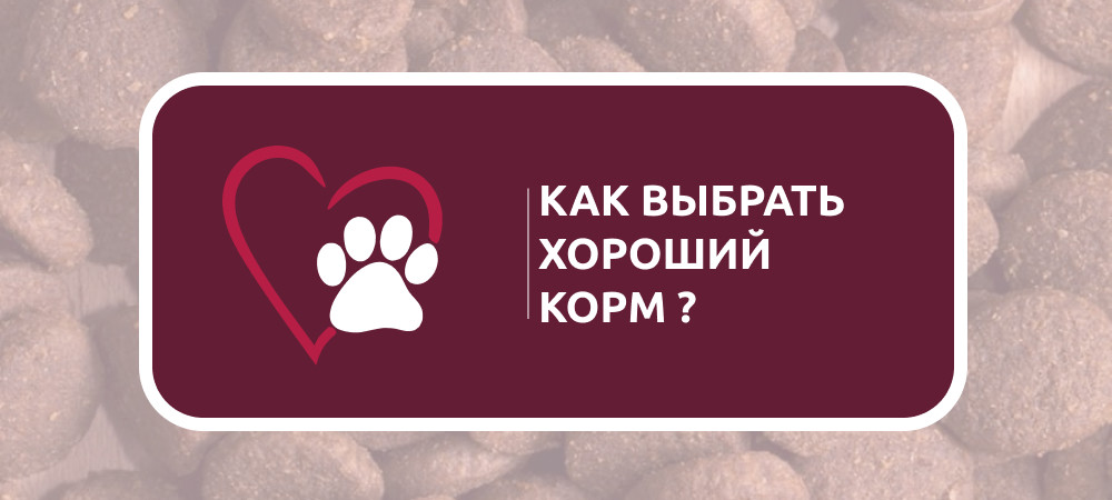 Хорошим ли кормом Вы кормите своего любимца?