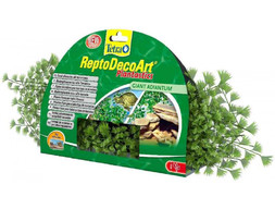 Tetra ReptoDecoArt Plant раст для террар-в Адиантум